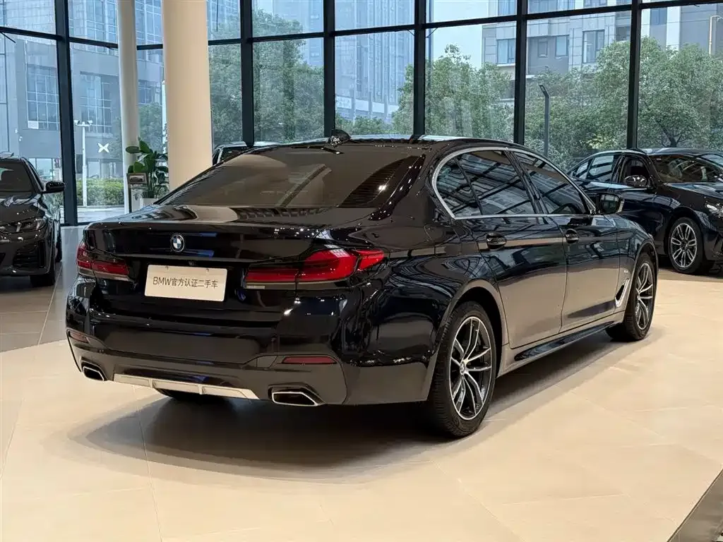 BMW 5 Series 2021 из CN, фото 9
