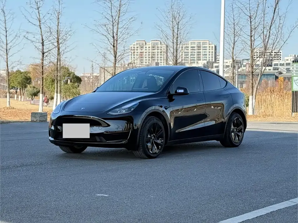 Tesla Model Y — фото 1