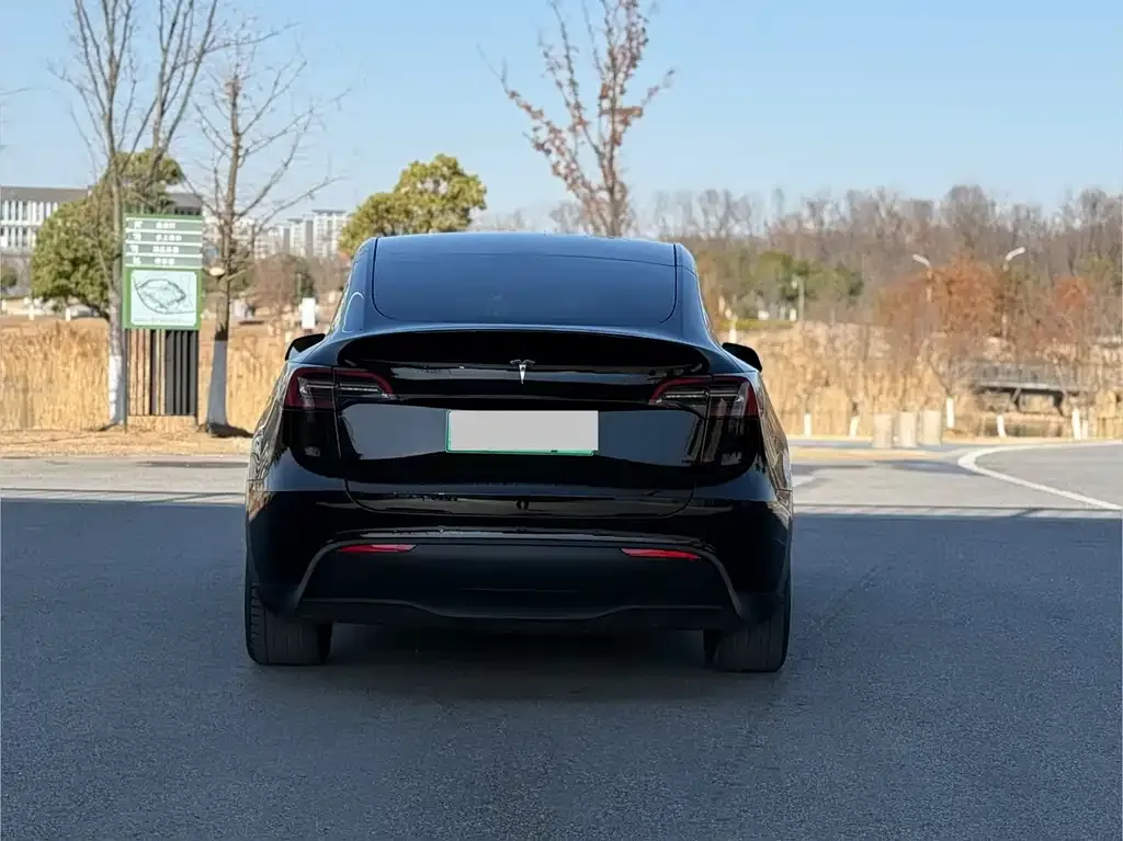 Tesla Model Y — фото 8
