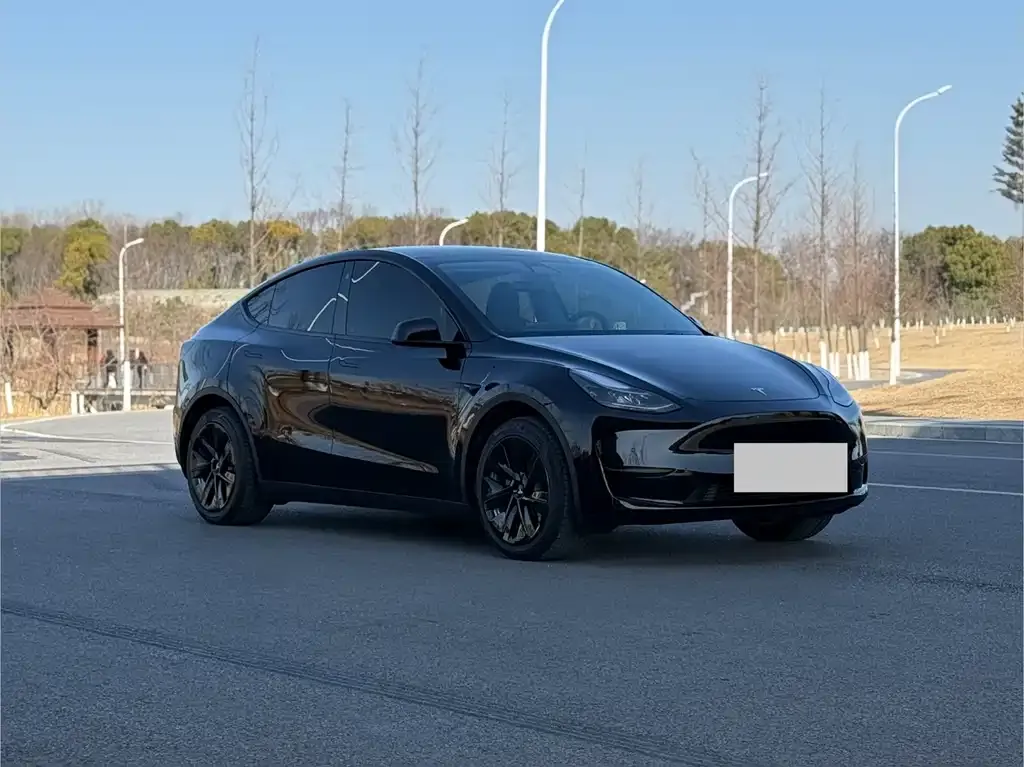 Tesla Model Y — фото 9