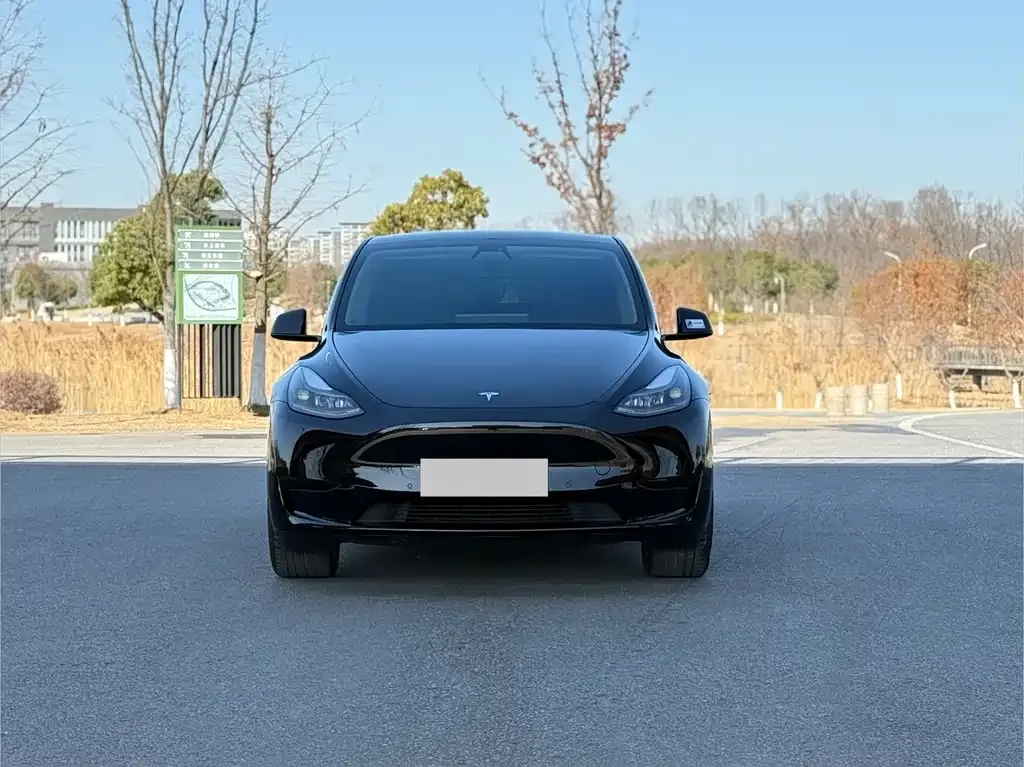 Tesla Model Y — фото 10