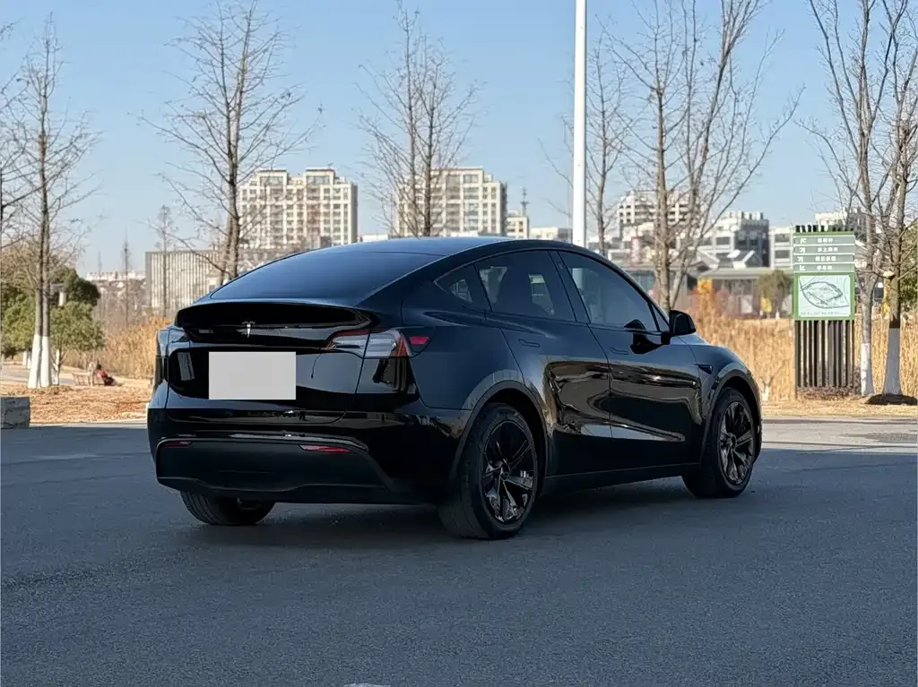 Tesla Model Y — фото 5