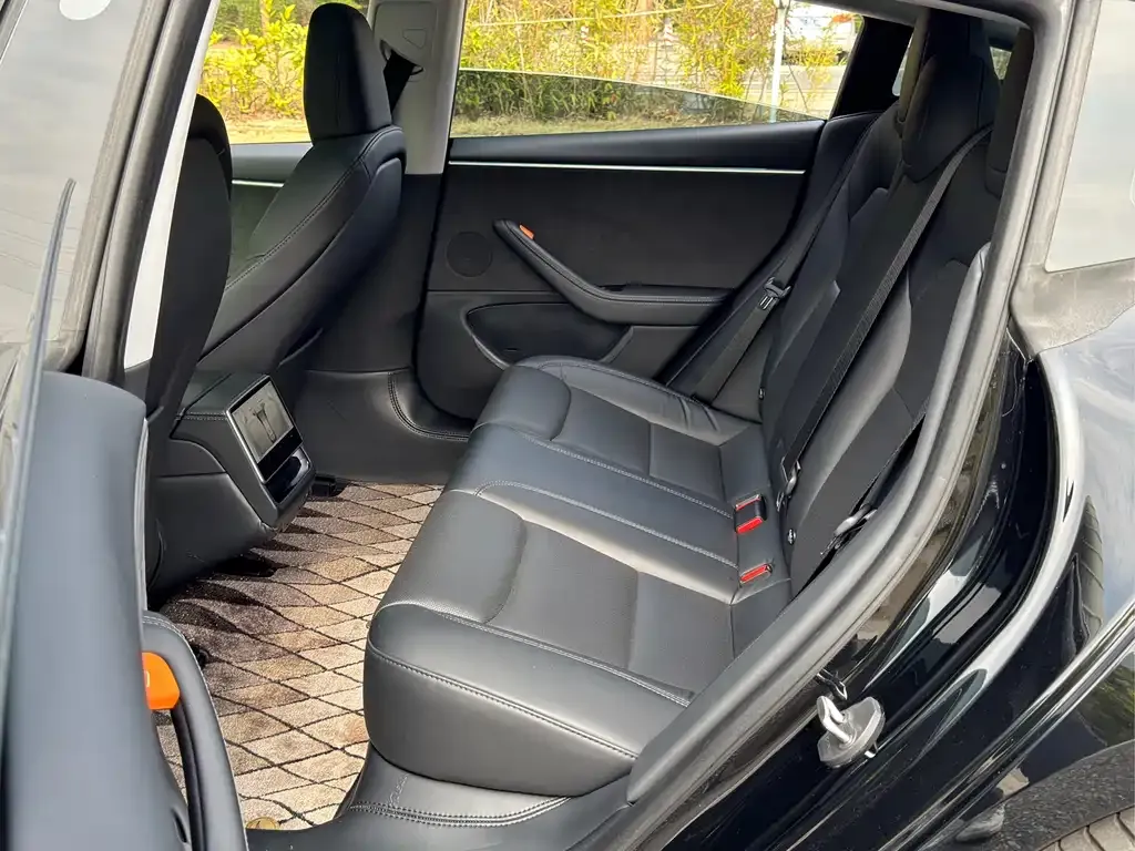 Tesla Model 3 2023 из CN, фото 3