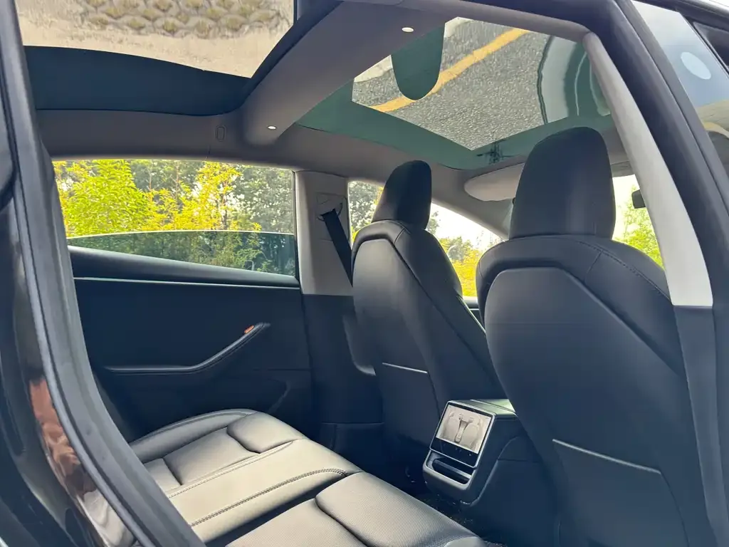 Tesla Model 3 2023 из CN, фото 2