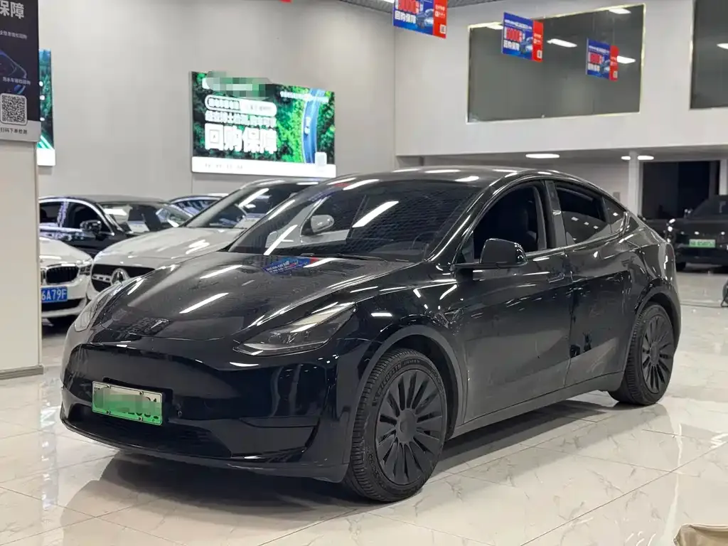 Tesla Model Y 2022 из CN, фото 1