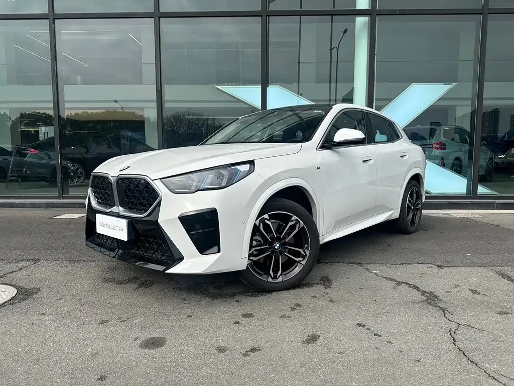 BMW X2 (Import) 2025 из CN, фото 1