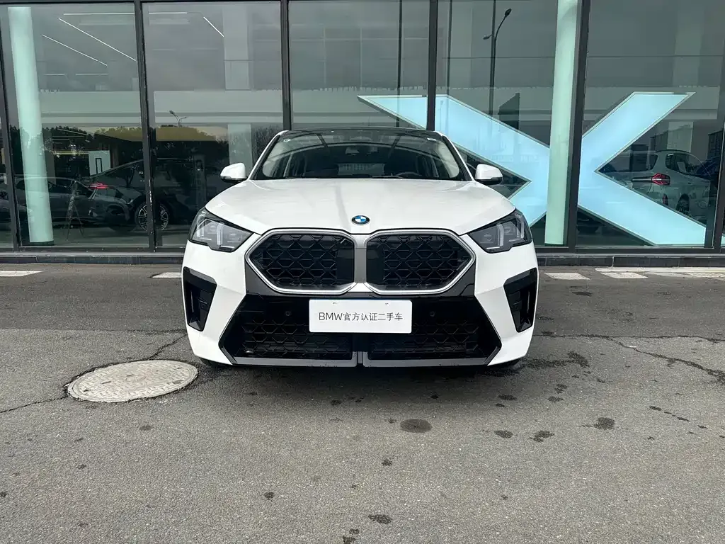 BMW X2 (Import) 2025 из CN, фото 2