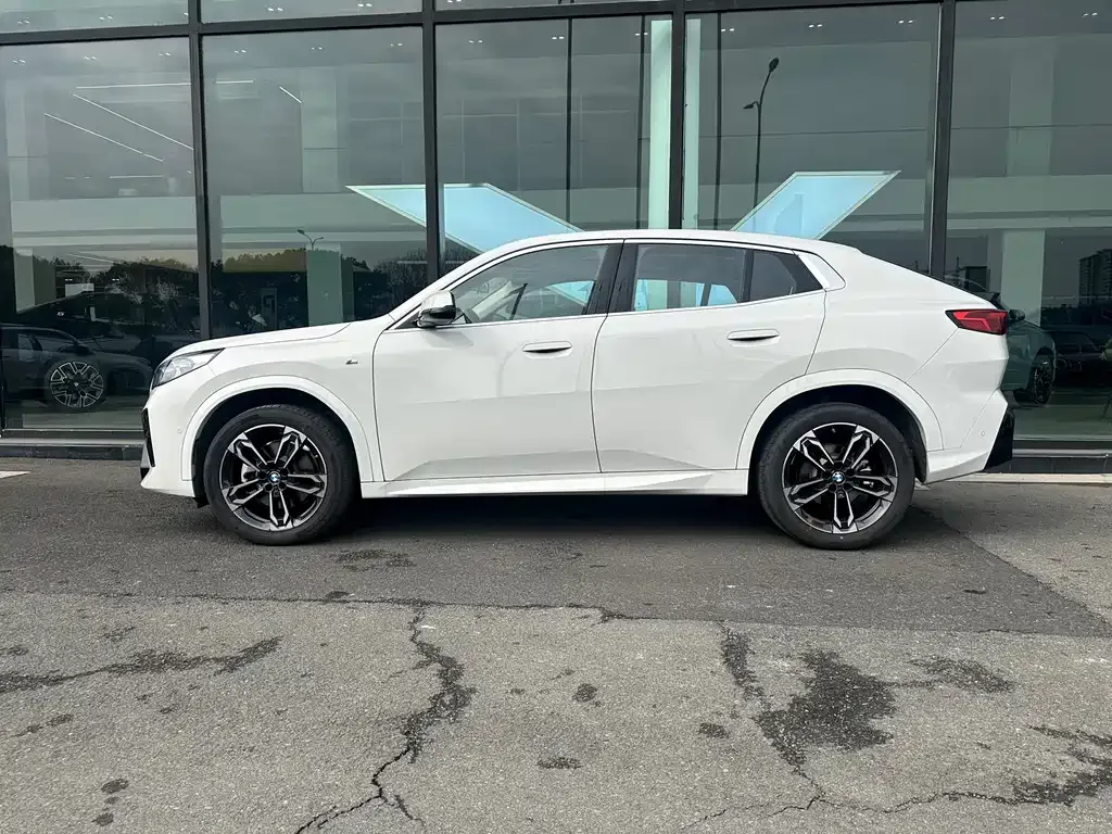 BMW X2 (Import) 2025 из CN, фото 6