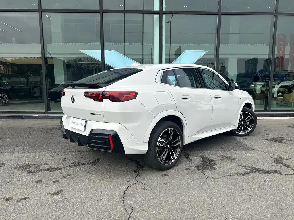 BMW X2 (Import) 2025 из CN, фото 10