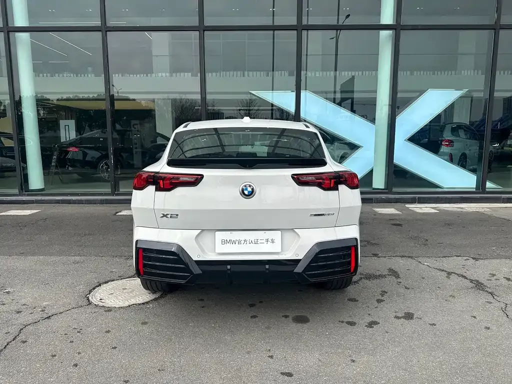 BMW X2 (Import) 2025 из CN, фото 4