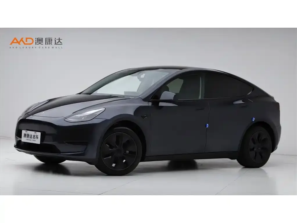 Tesla Model Y 2024 из CN, фото 1