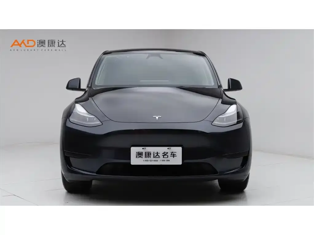 Tesla Model Y 2024 из CN, фото 5