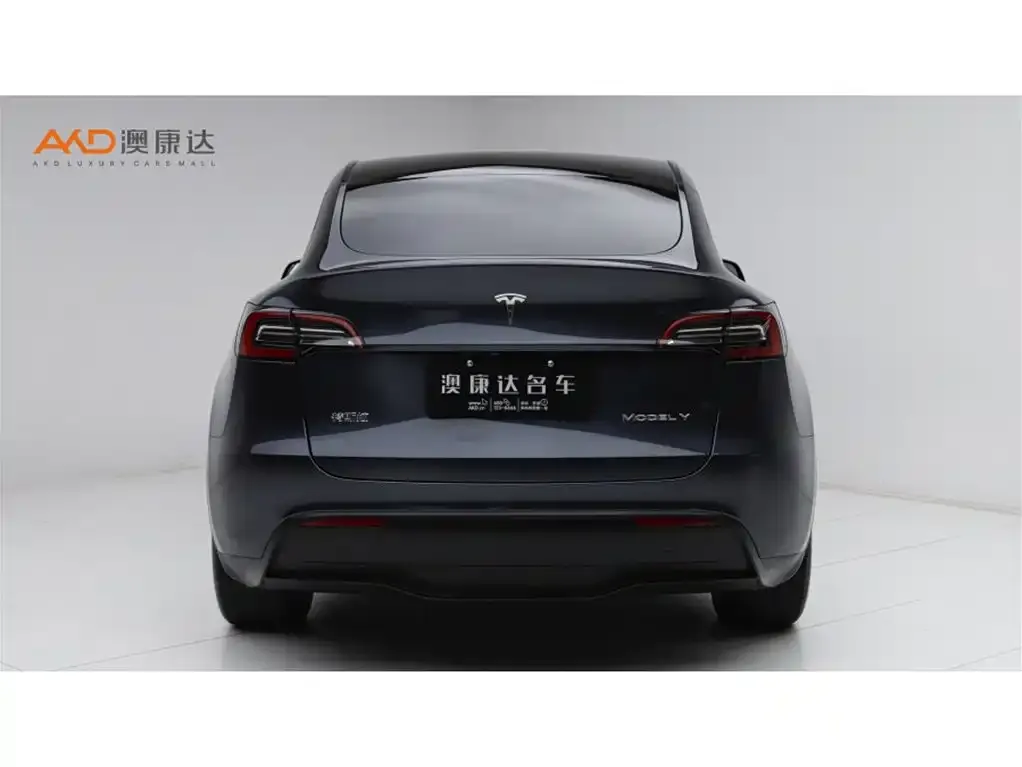 Tesla Model Y 2024 из CN, фото 3