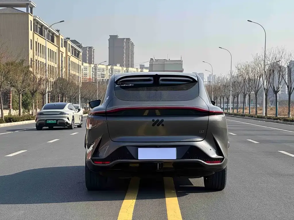 IM LS7 2023 из CN, фото 4