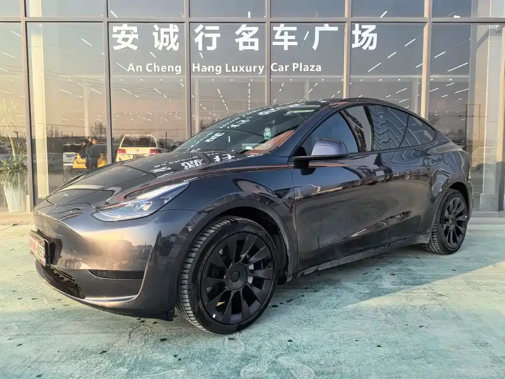 Tesla Model Y — фото 1