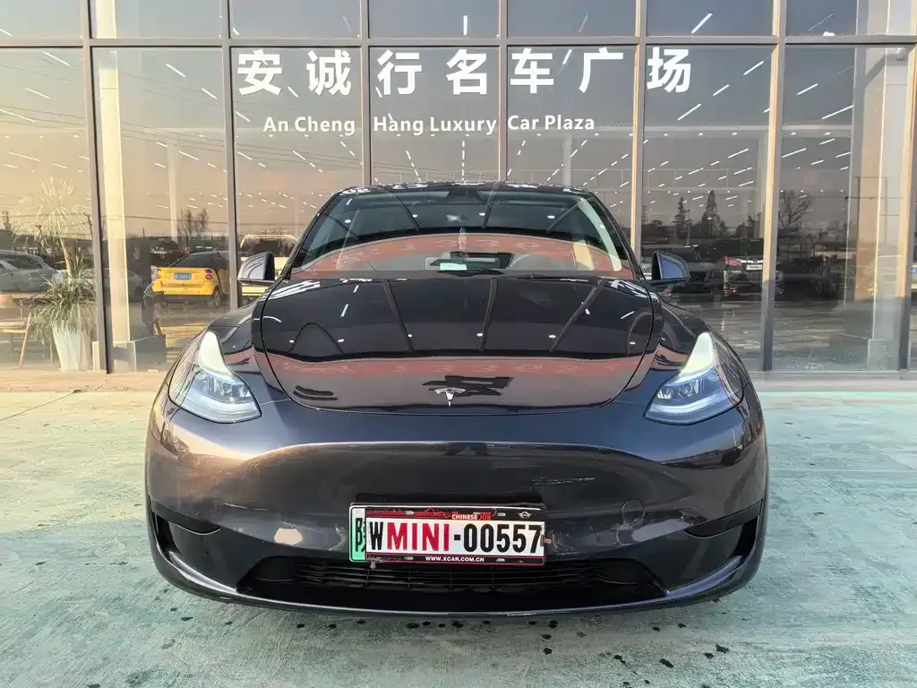 Tesla Model Y — фото 4