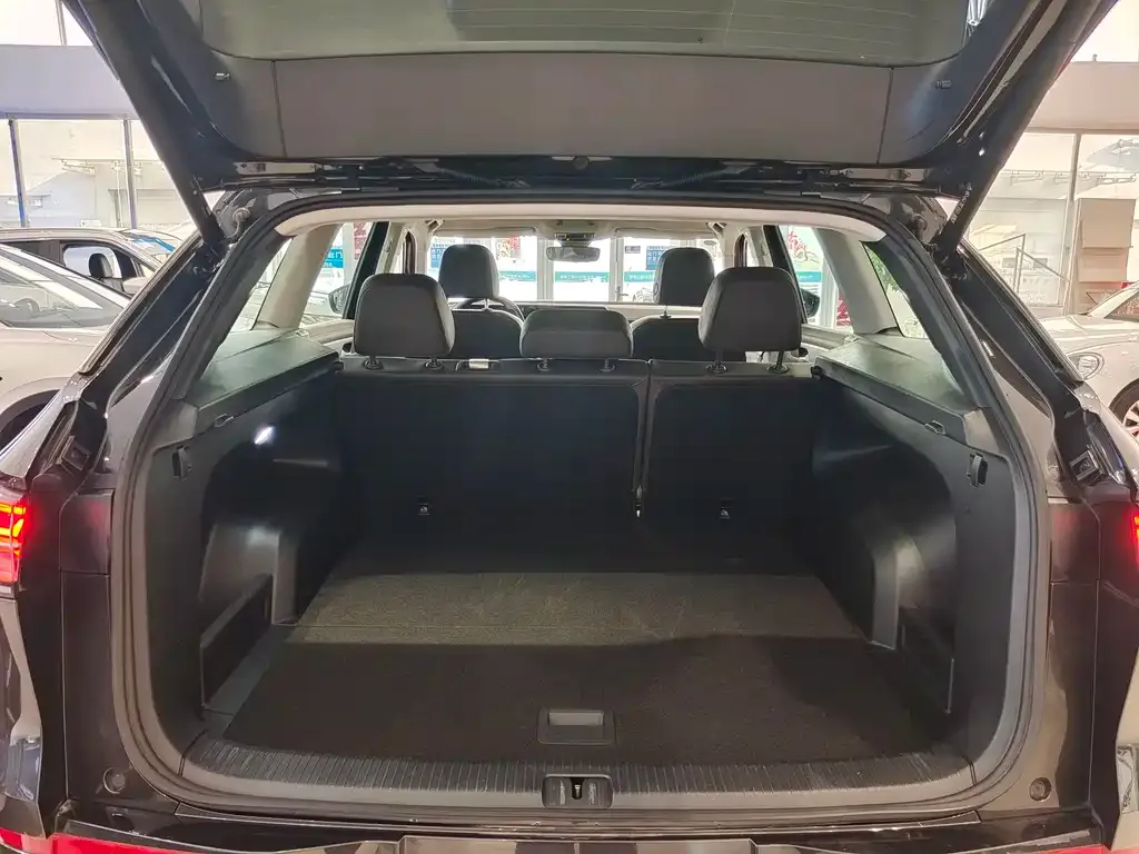 Volkswagen Tavendor 2023 из CN, фото 7