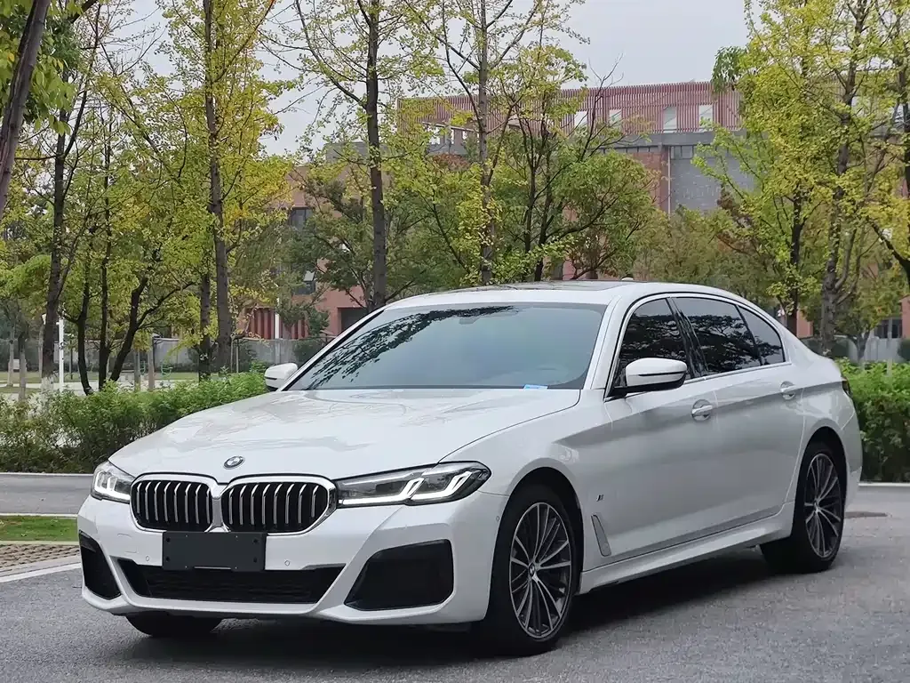 BMW 5 Series 2021 из CN, фото 1