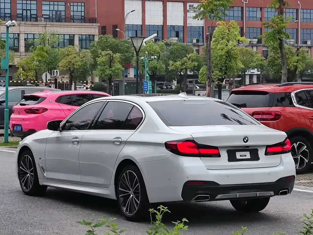 BMW 5 Series 2021 из CN, фото 7