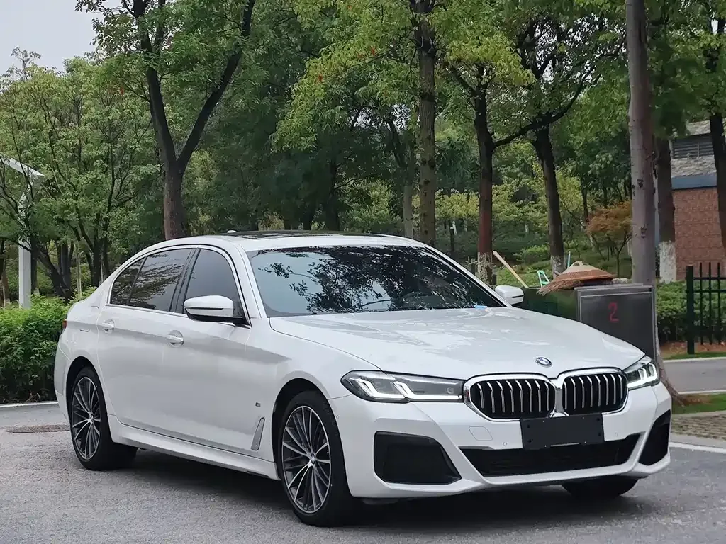 BMW 5 Series 2021 из CN, фото 10
