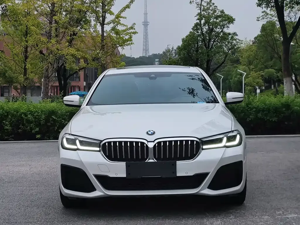 BMW 5 Series 2021 из CN, фото 2