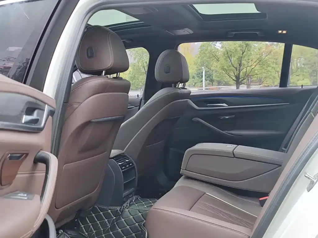 BMW 5 Series 2021 из CN, фото 4