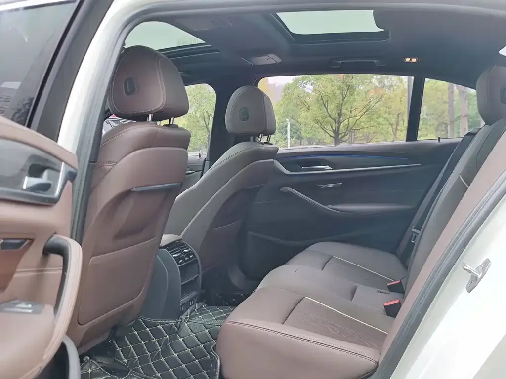 BMW 5 Series 2021 из CN, фото 8