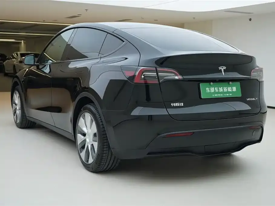 Tesla Model Y — фото 9