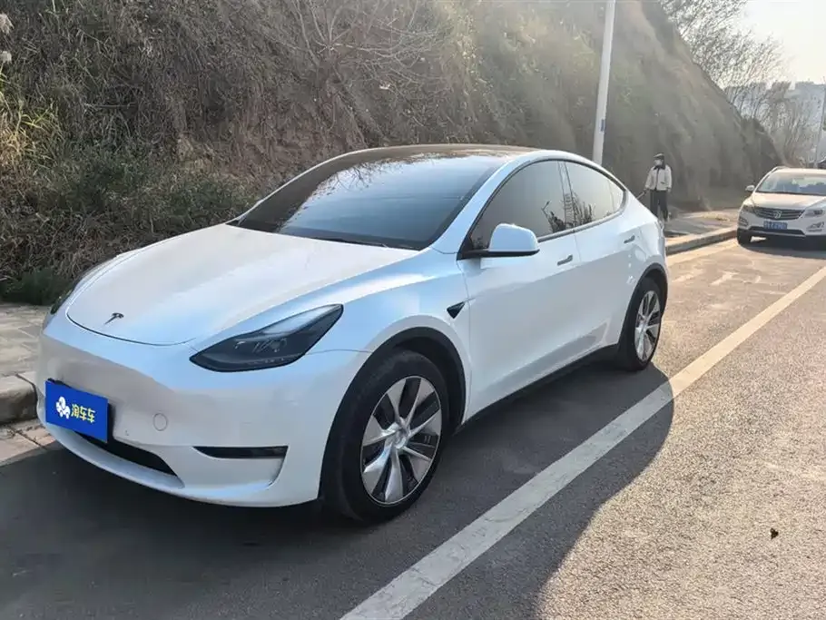 Tesla Model Y 2021 из CN, фото 1