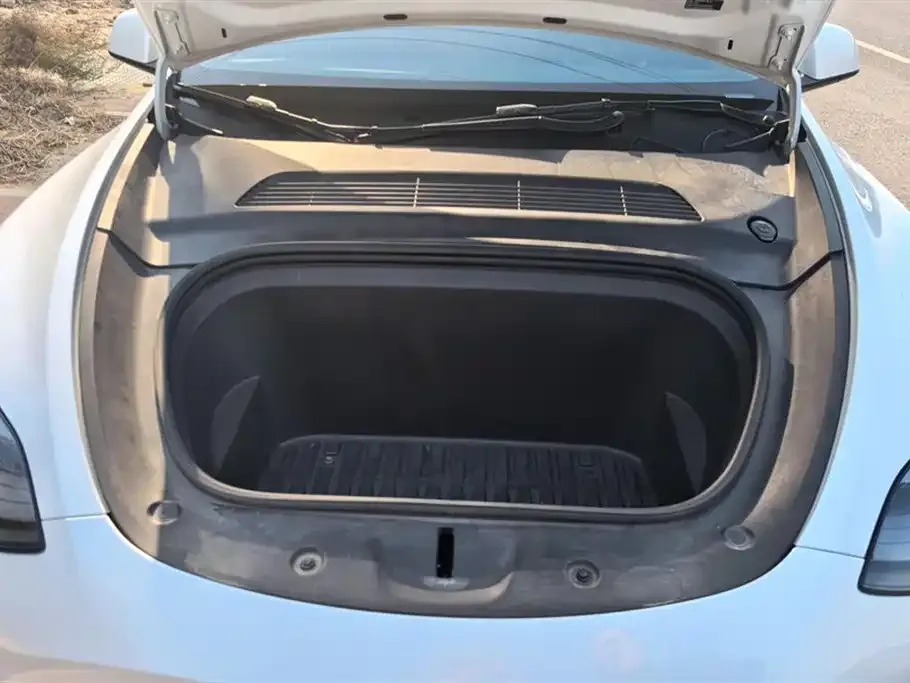 Tesla Model Y 2021 из CN, фото 2