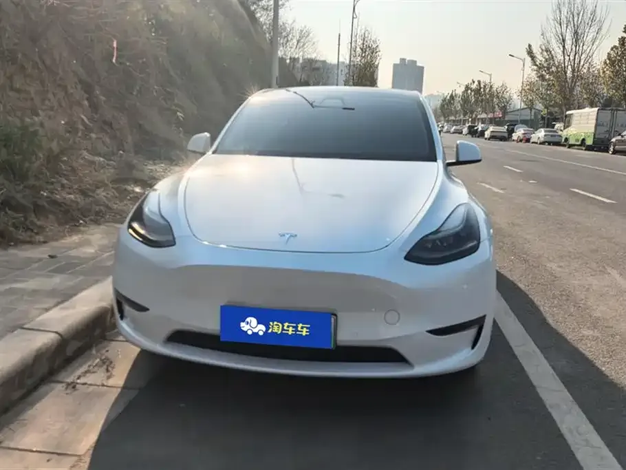 Tesla Model Y 2021 из CN, фото 5