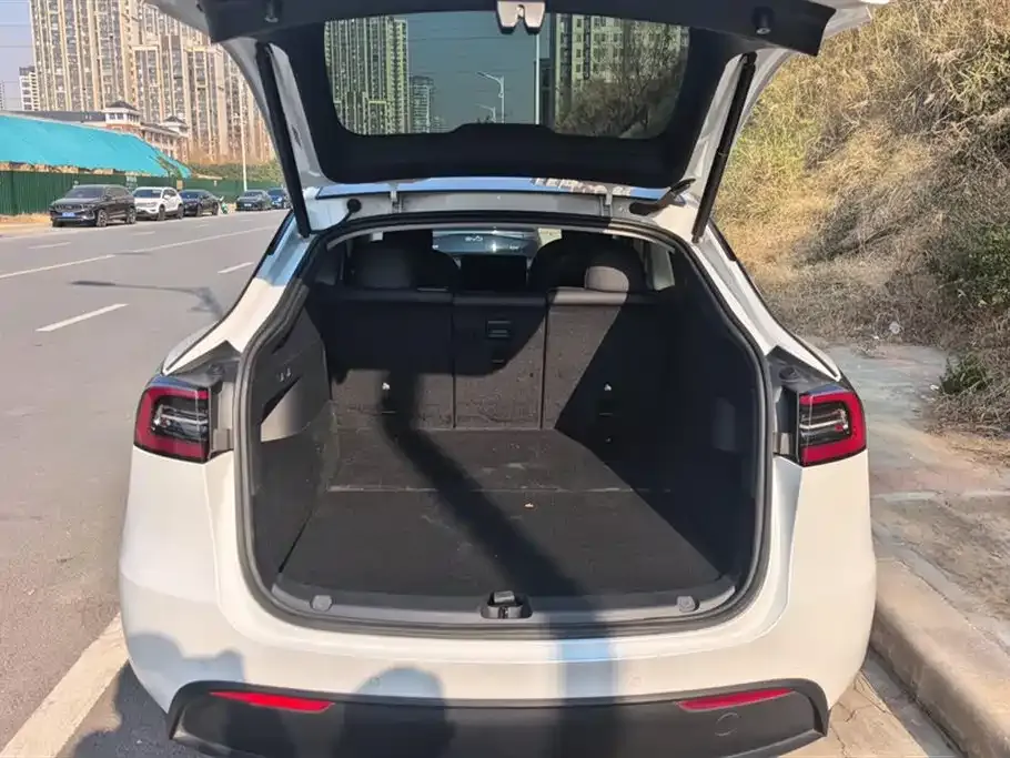 Tesla Model Y 2021 из CN, фото 9