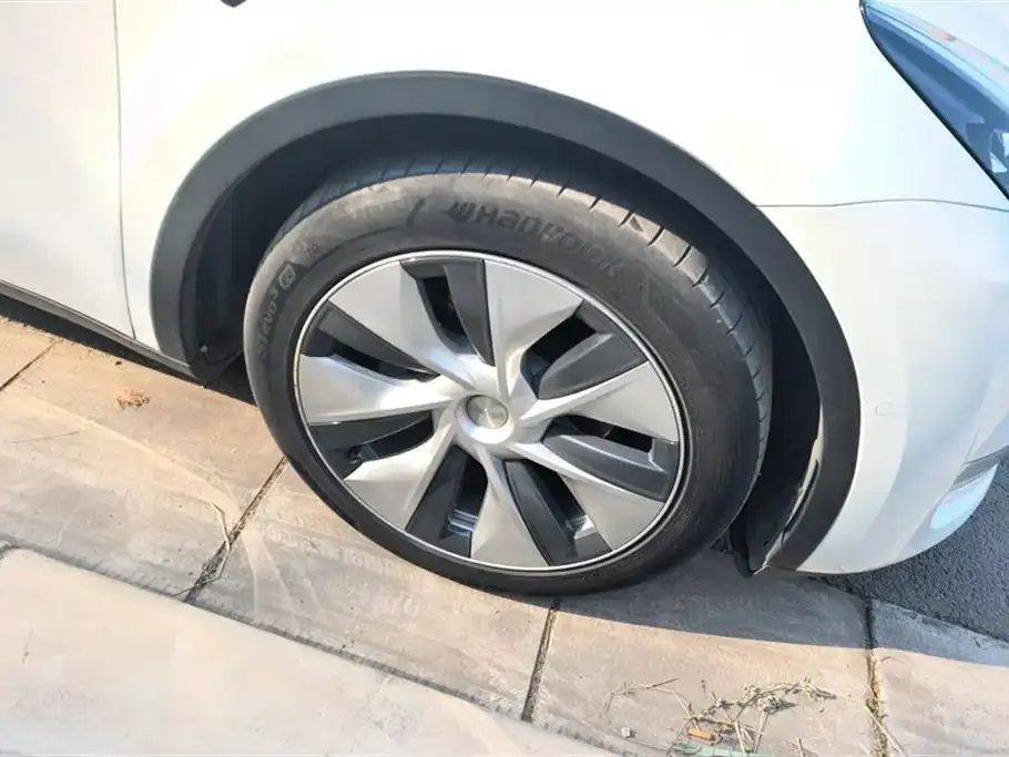 Tesla Model Y 2021 из CN, фото 6