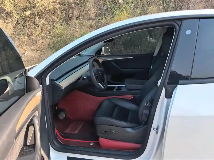 Tesla Model Y 2021 из CN, фото 10