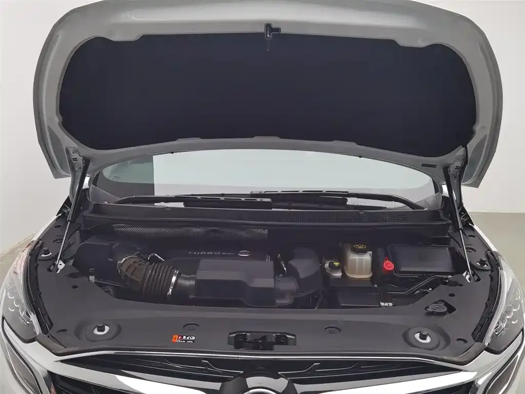 Buick GL8 2021 из CN, фото 10