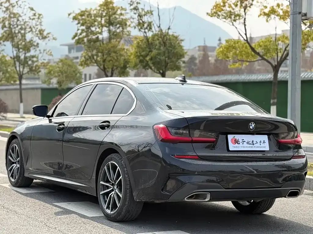BMW 3 Series 2021 из CN, фото 10