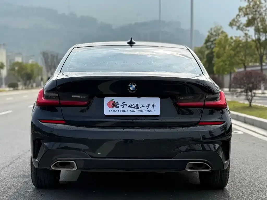 BMW 3 Series 2021 из CN, фото 5