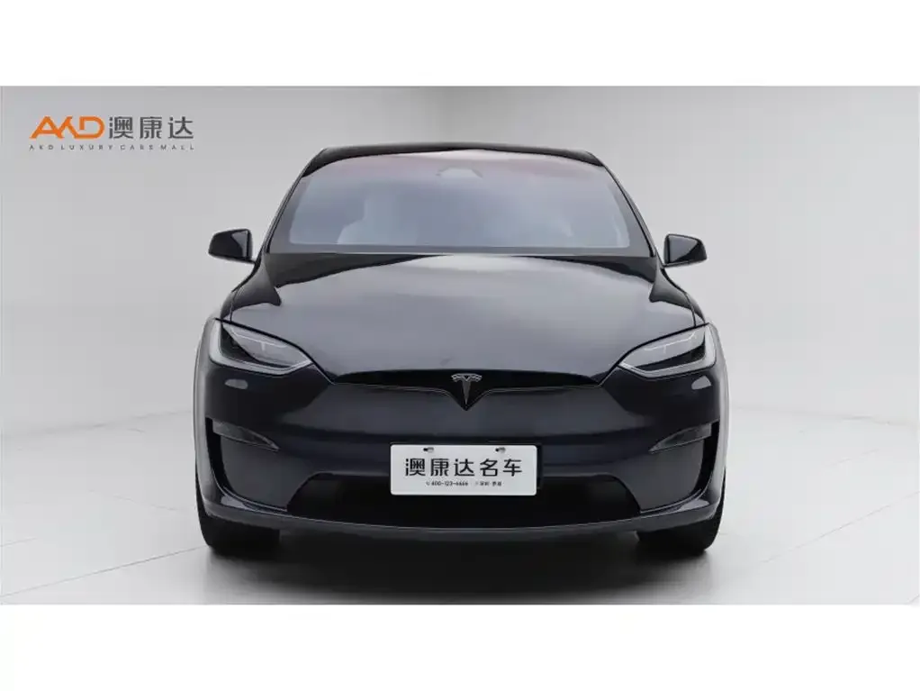 Tesla Model X 2024 из CN, фото 9