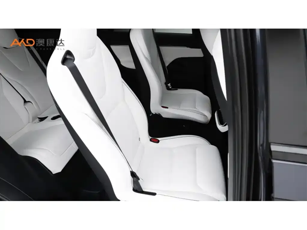 Tesla Model X 2024 из CN, фото 7