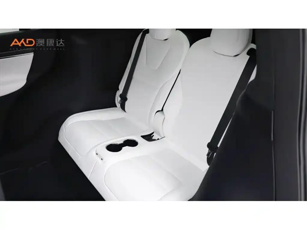 Tesla Model X 2024 из CN, фото 5