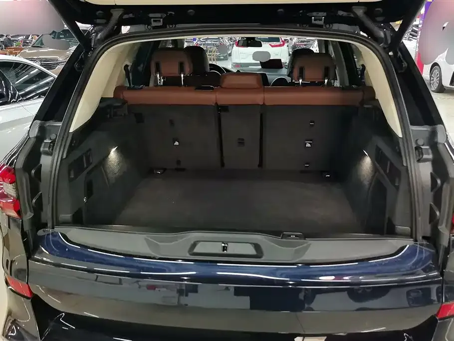 BMW X5 (Import) 2021 из CN, фото 10