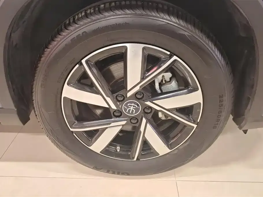 BYD Pro New Energy 2024 из CN, фото 2