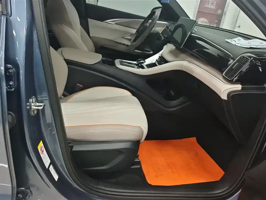 BYD Pro New Energy 2024 из CN, фото 5
