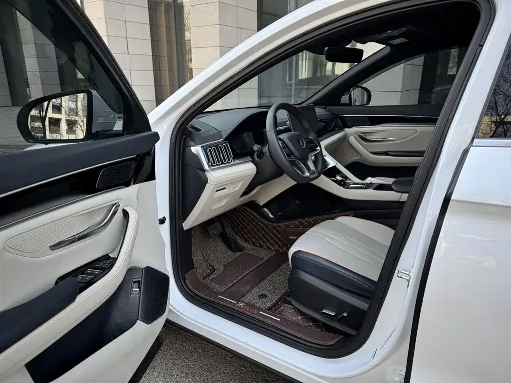 BYD PLUS New Energy 2022 из CN, фото 5