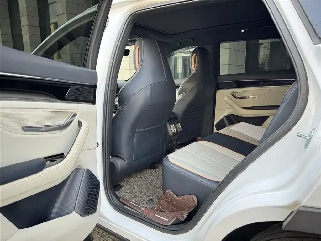 BYD PLUS New Energy 2022 из CN, фото 2