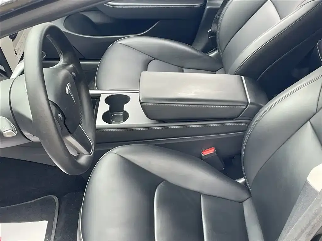 Tesla Model 3 2022 из CN, фото 10