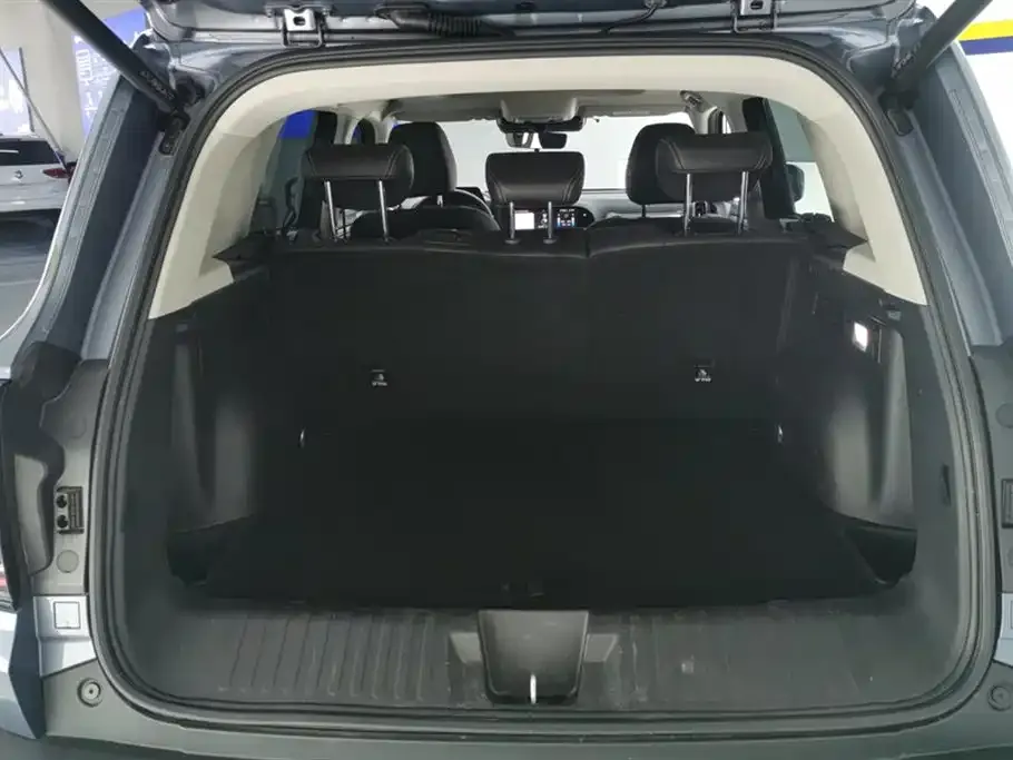 Haval Big Dog 2022 из CN, фото 3