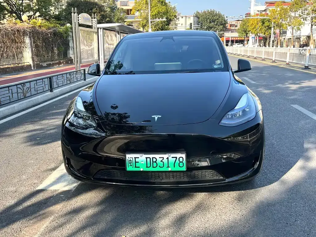 Tesla Model Y 2024 из CN, фото 9