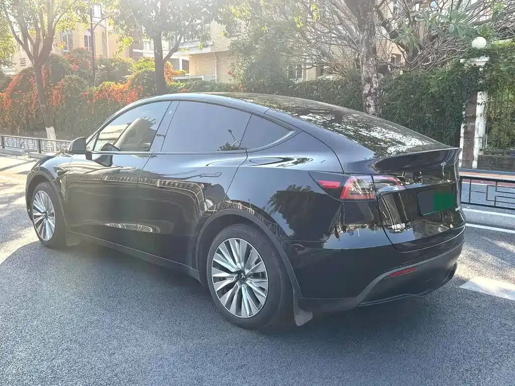 Tesla Model Y 2024 из CN, фото 5