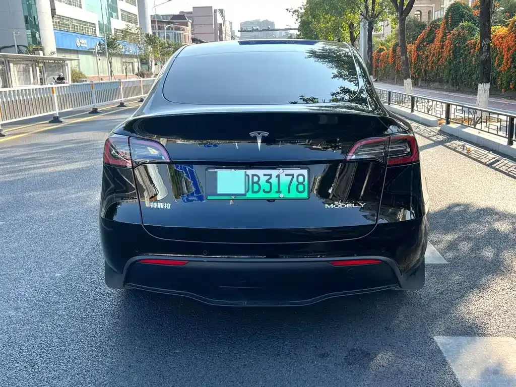 Tesla Model Y 2024 из CN, фото 6